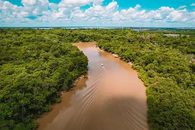 Guide Comment les drones protègent lAmazonie brésilienne