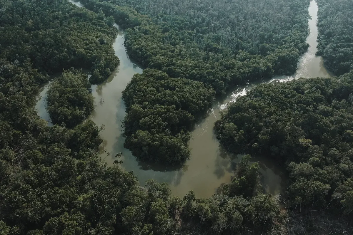 Drone shot of a winding river flowing through a dense green forest, offering a stunning aerial perspective.