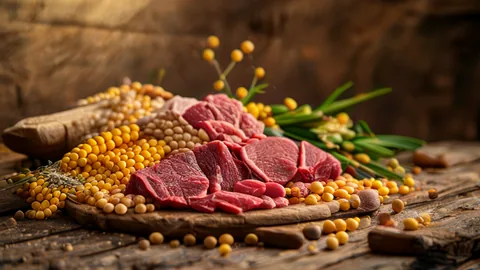 Agricoltura Brasile: il motore globale dei cereali 2025