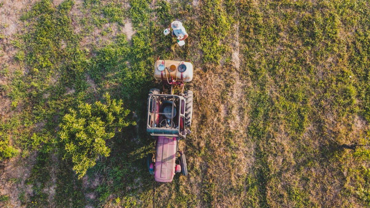 Vista aérea de uma vasta plantação de soja no Brasil.