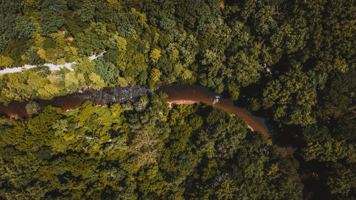 Aerial view of the lush Amazon rainforest