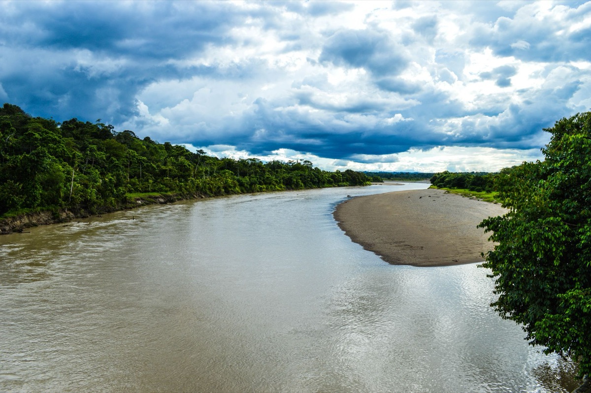 Vista aérea de la selva amazónica y el río Amazonas