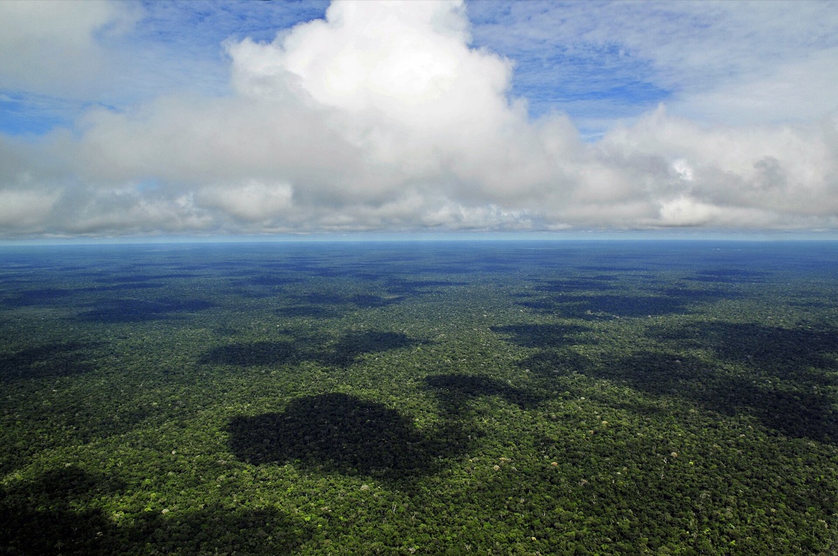 Luchtbeeld van het Amazoneregenwoud.