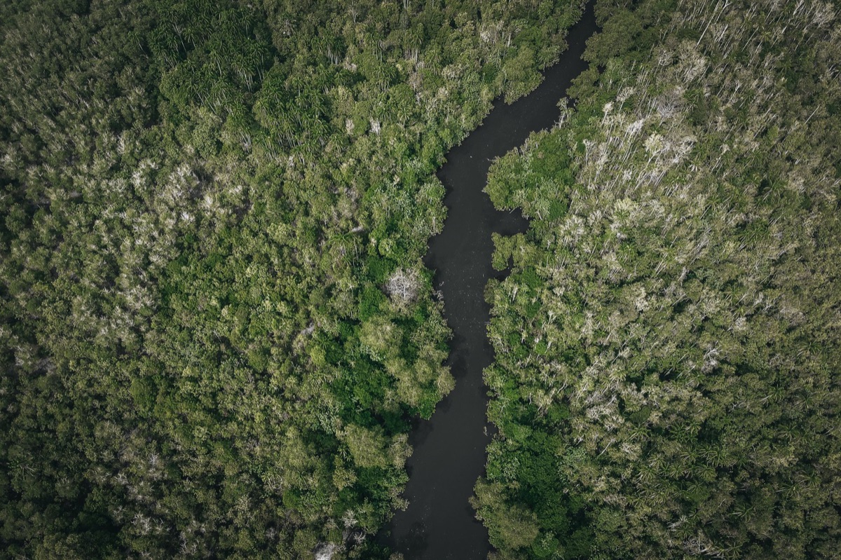 Vista aérea da Floresta Amazônica e questões ambientais