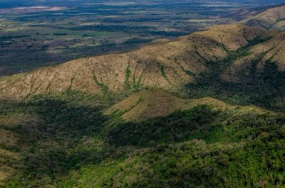 Café Brasil: 5 Estrategias Clave Contra el Cambio Climático