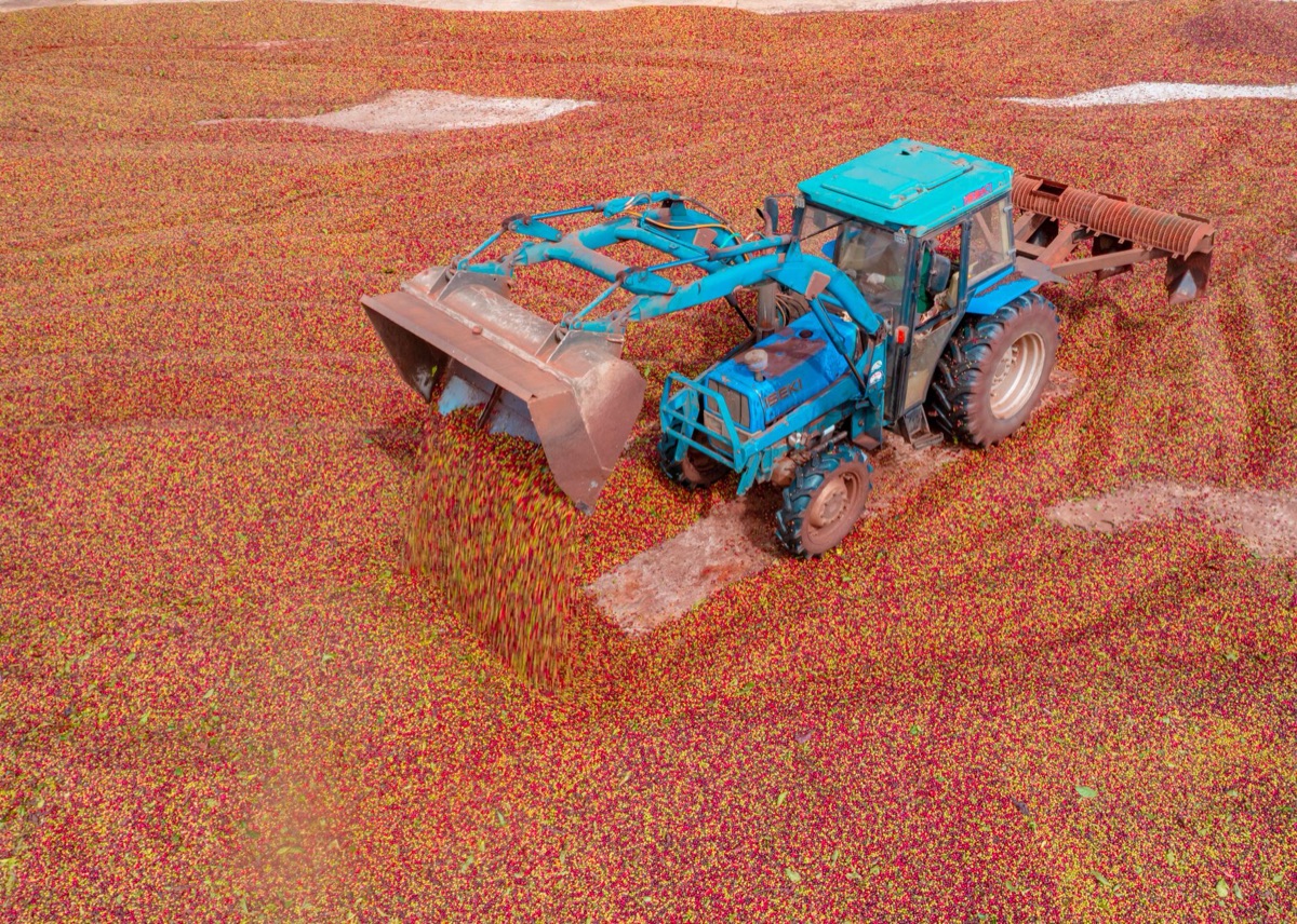 Équipement agricole durable en Amazonie