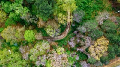 Le paradoxe brésilien : nourrir le monde sans négliger le terroir