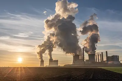 Bosbehoud Brazilië klimaat: Tips voor economische prikkels