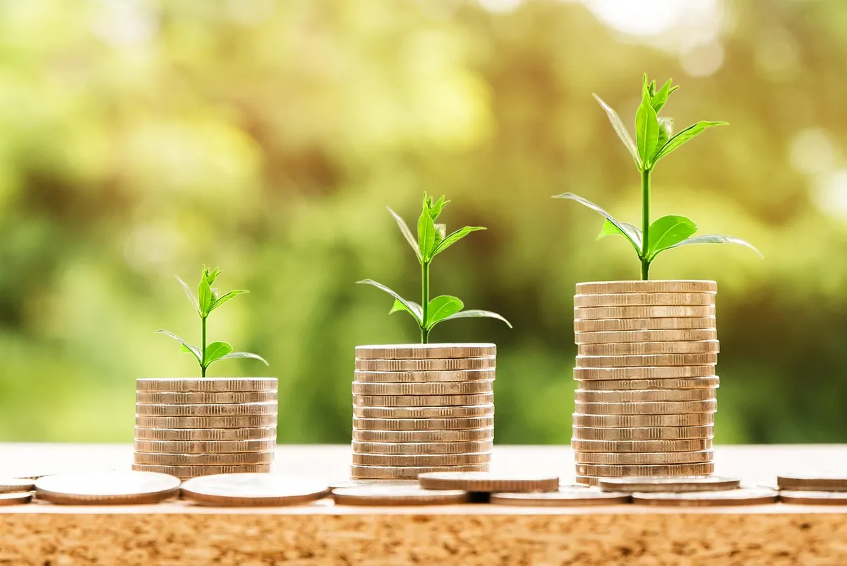お金、利益、金利、ビジネス、収益、利回り、金融、現金、通貨、投資、銀行、豊かさ、コイン、経済、成功、ローン、給料、豊か、信用、給与