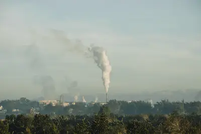 Incendios: Protección Amazonas cooperación y el aumento del 28%