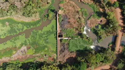 Science Brésil et écologie : Tech Brésil environnement et 84,5 %