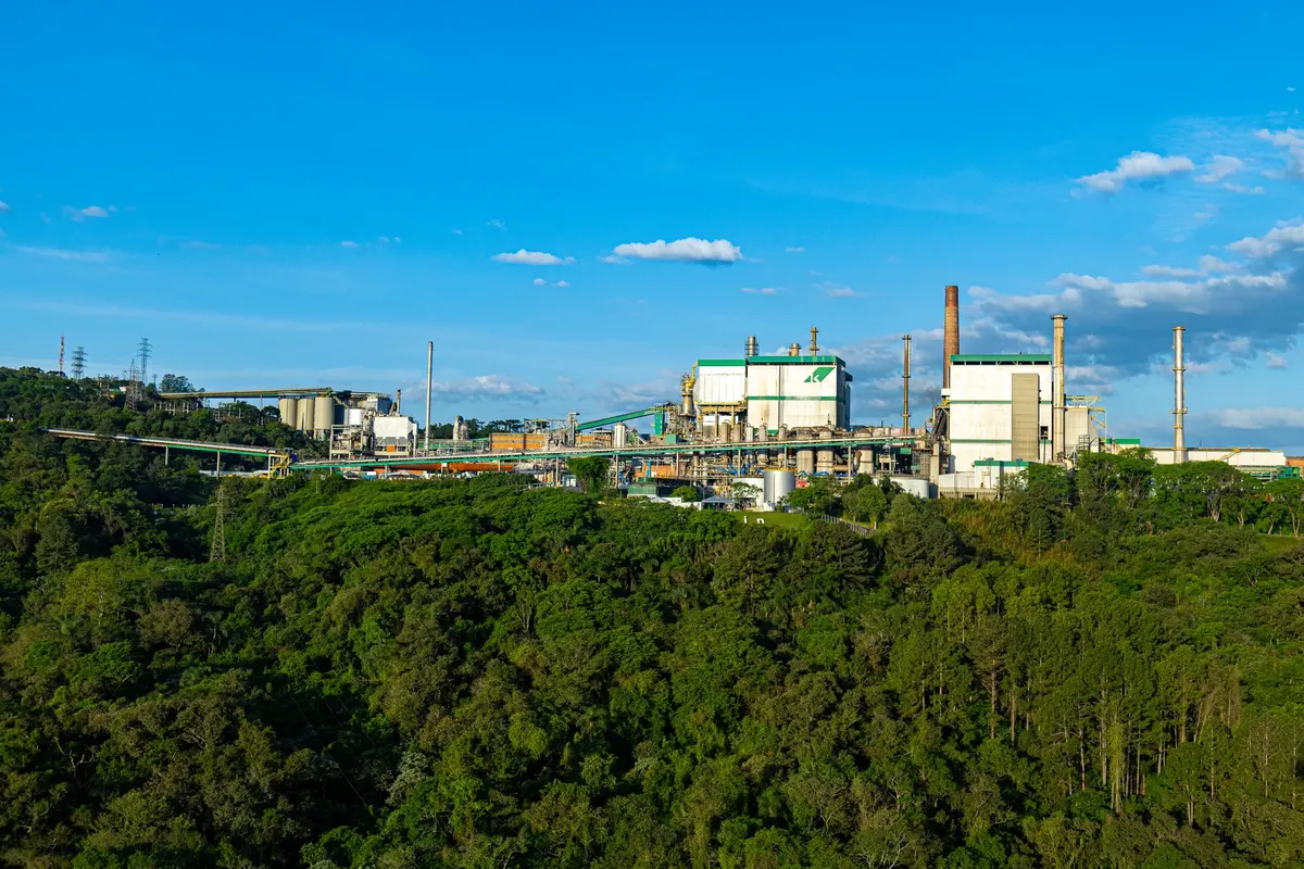 這是現場細節的第3張實拍照片