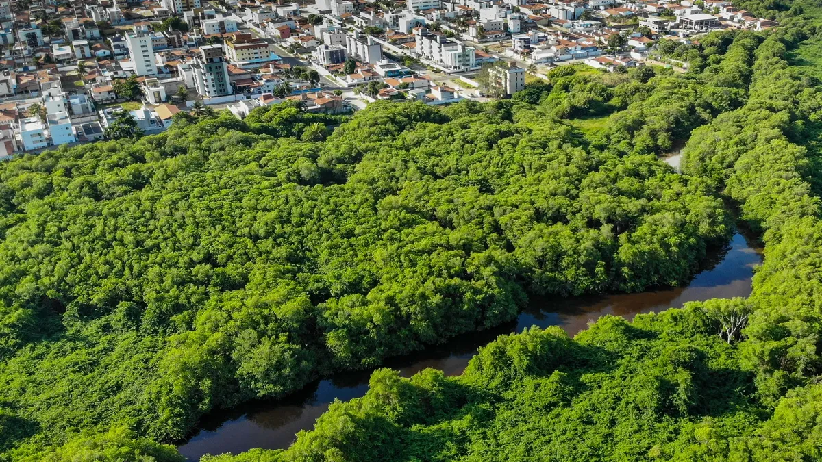 壯麗的空中視野，展示約翰索斯佩索斯巴西豐茂的森林與城市景觀。