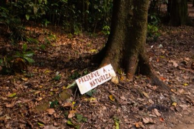 Deforestación 70%: Tips sobre el uso de la tierra en la Amazonía
