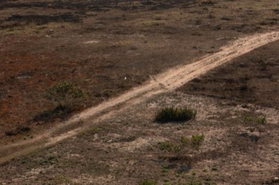 91%の土地利用変化方法 アマゾン森林破壊の全貌