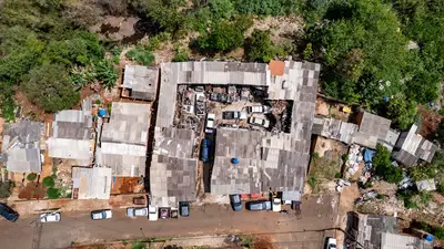 Amazonas-Kooperation: Wie China den Umweltschutz stärkt